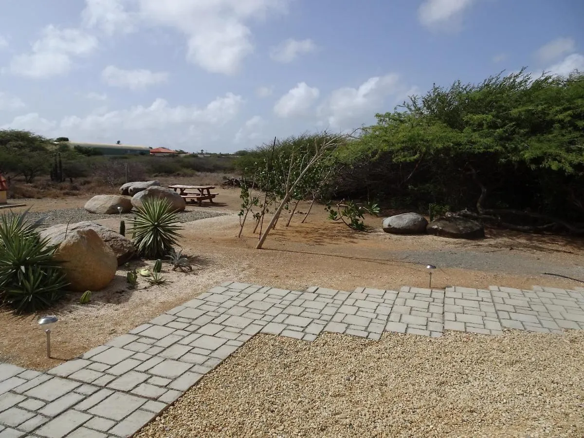 Pura Vida Aruba Appartement Cama Noord Apartment