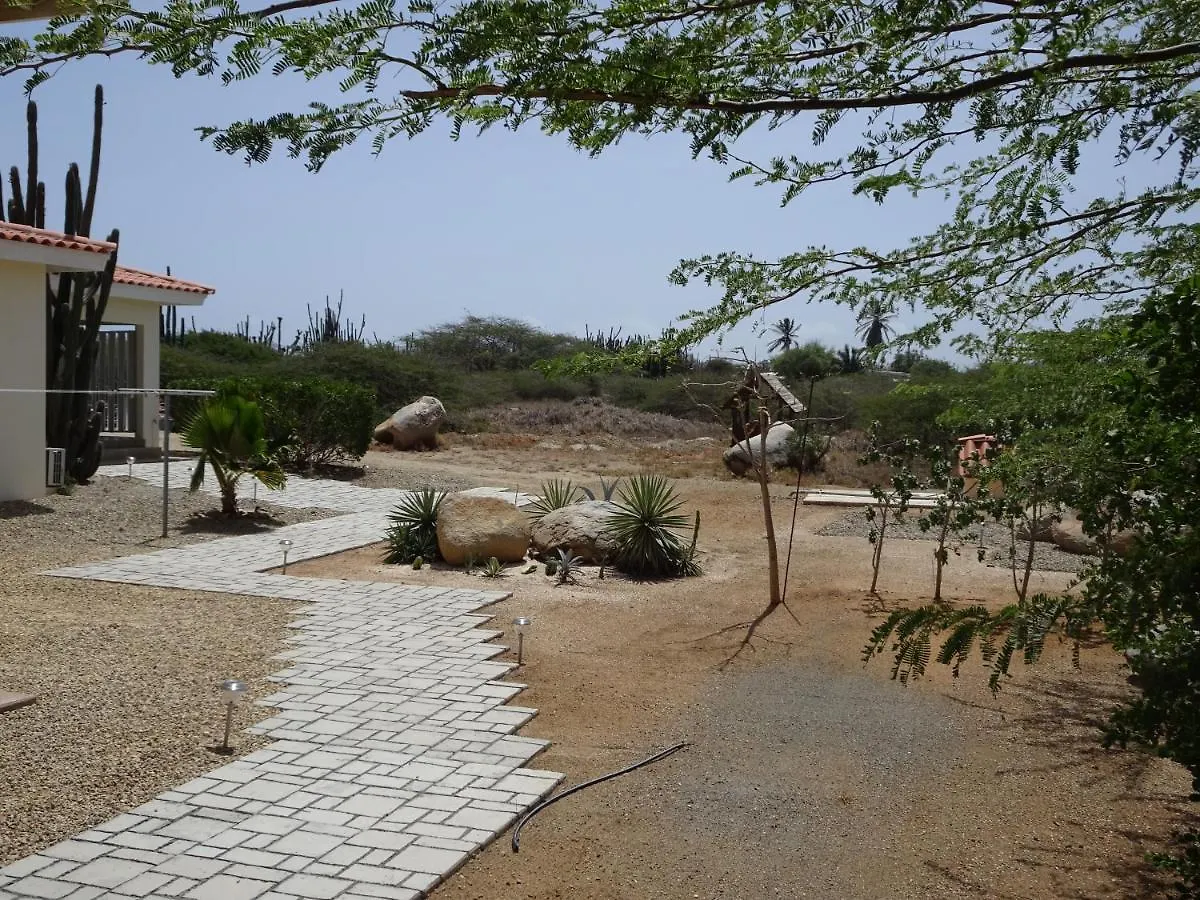 Pura Vida Aruba Appartement Cama Noord Aruba