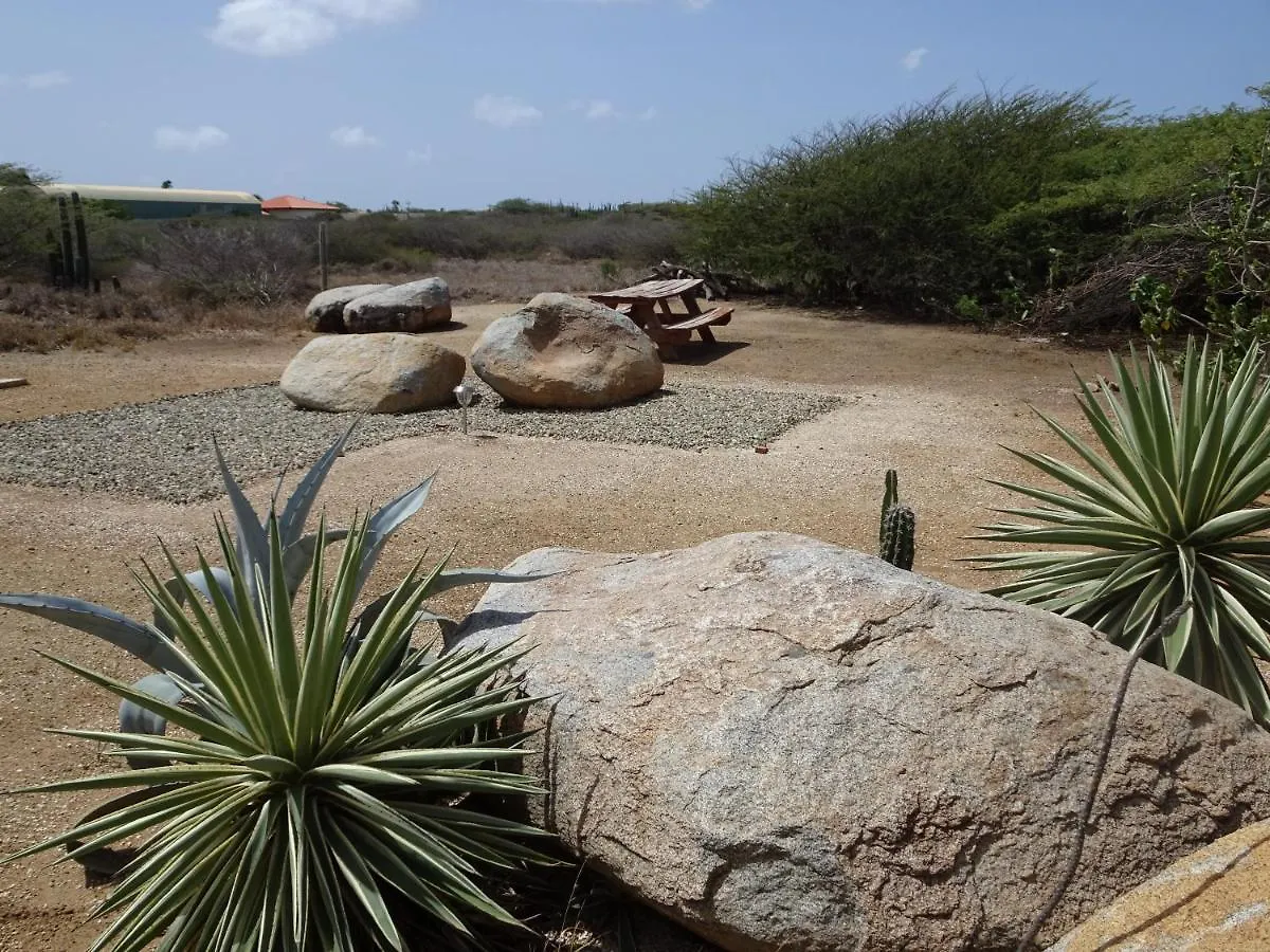 Pura Vida Aruba Appartement Cama Noord Apartamento