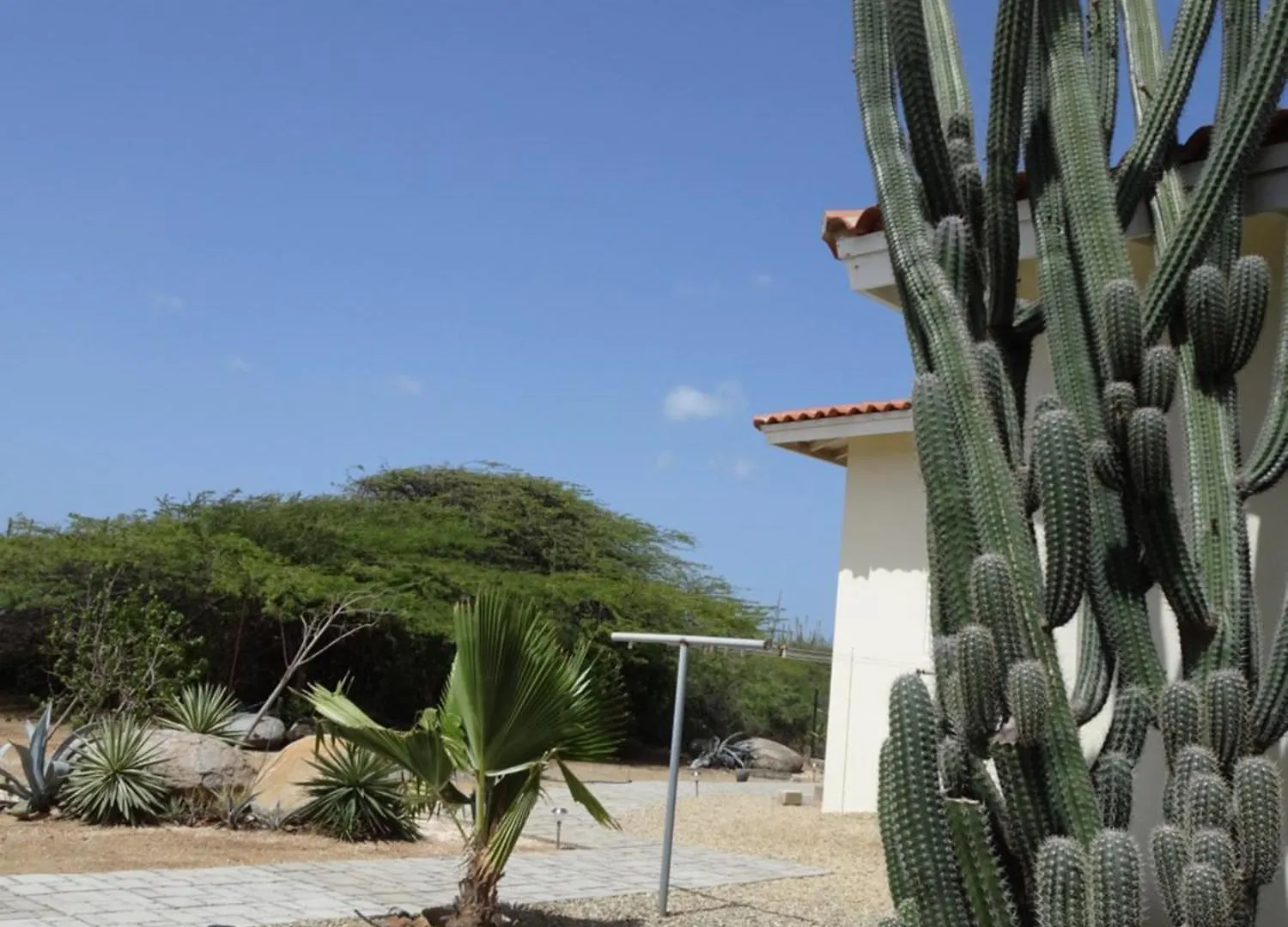 Apartamento Pura Vida Aruba Appartement Cama Noord Aruba