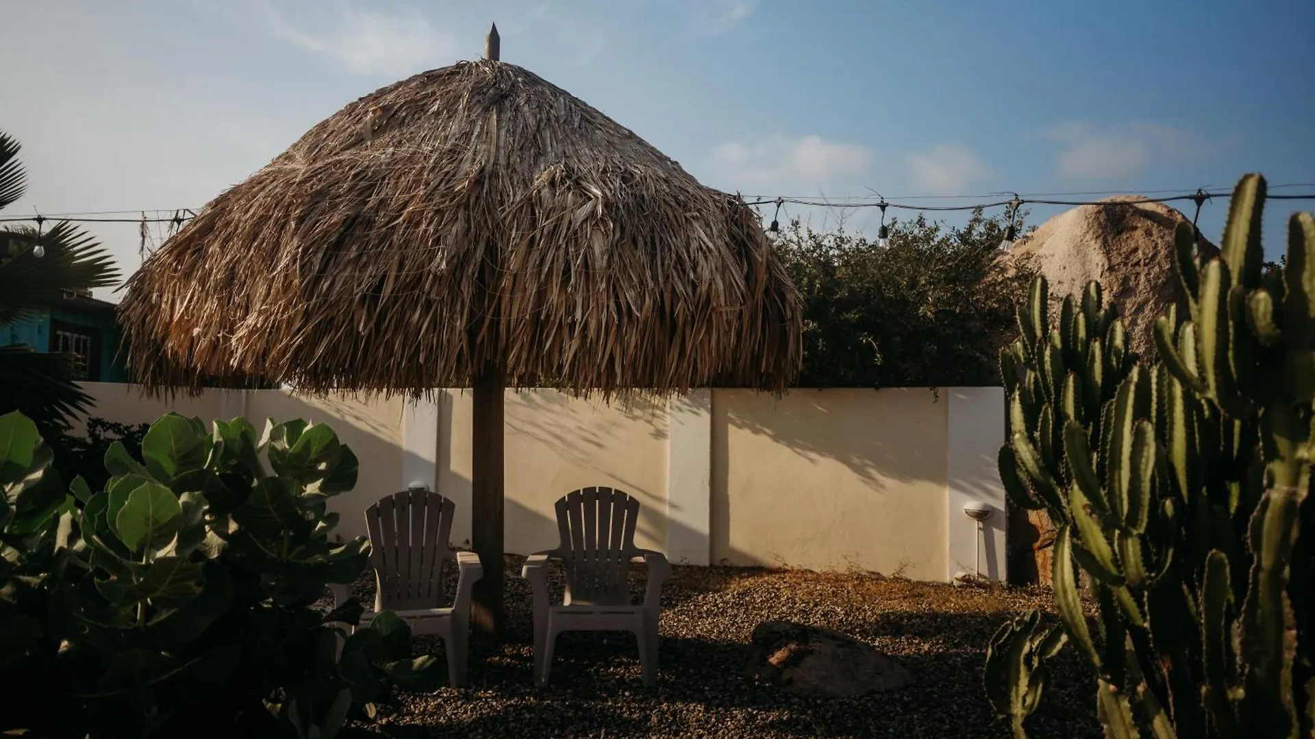 Pura Vida Aruba Appartement Cama Noord Apartment
