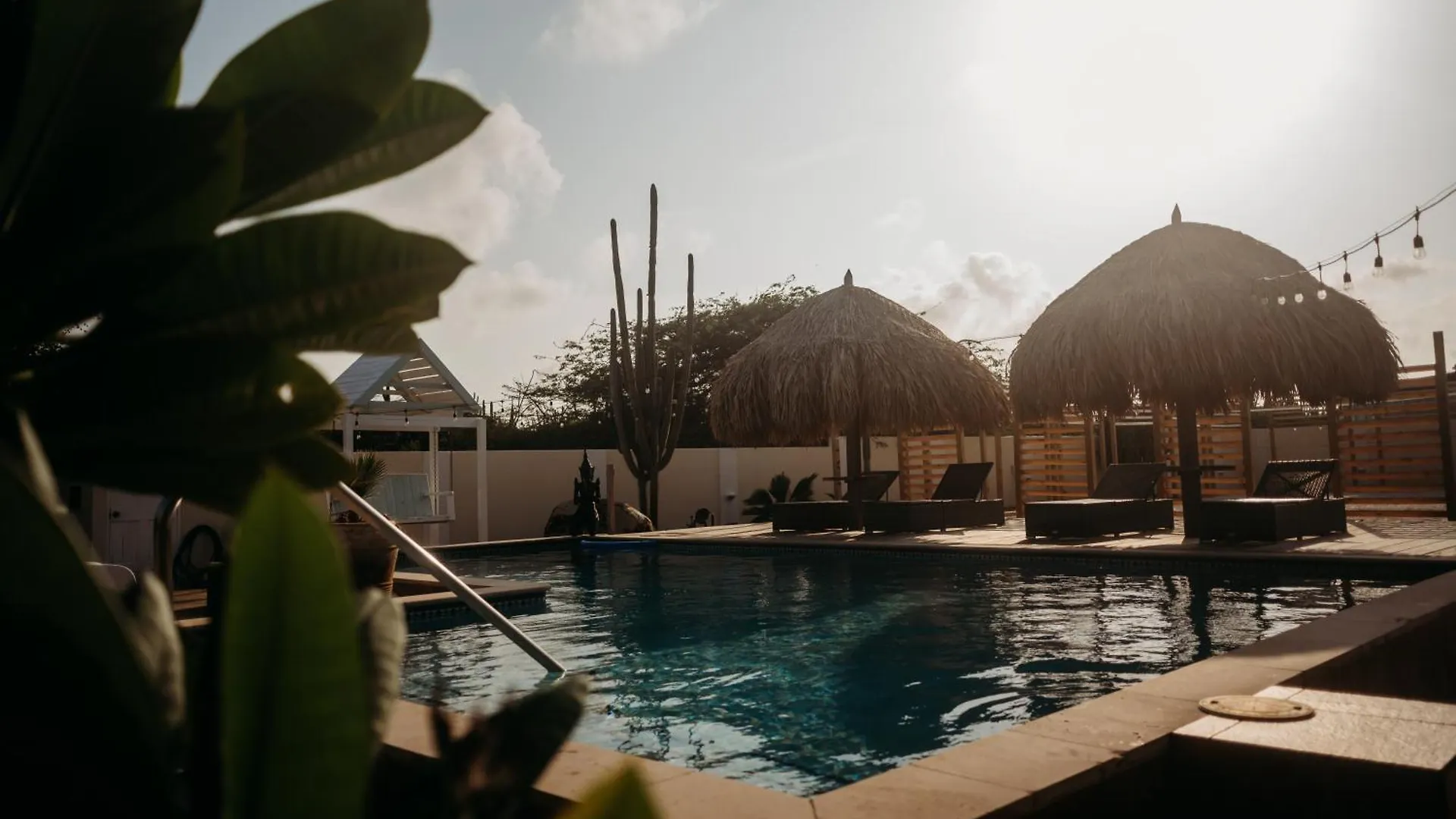 Pura Vida Aruba Appartement Cama Noord Aruba